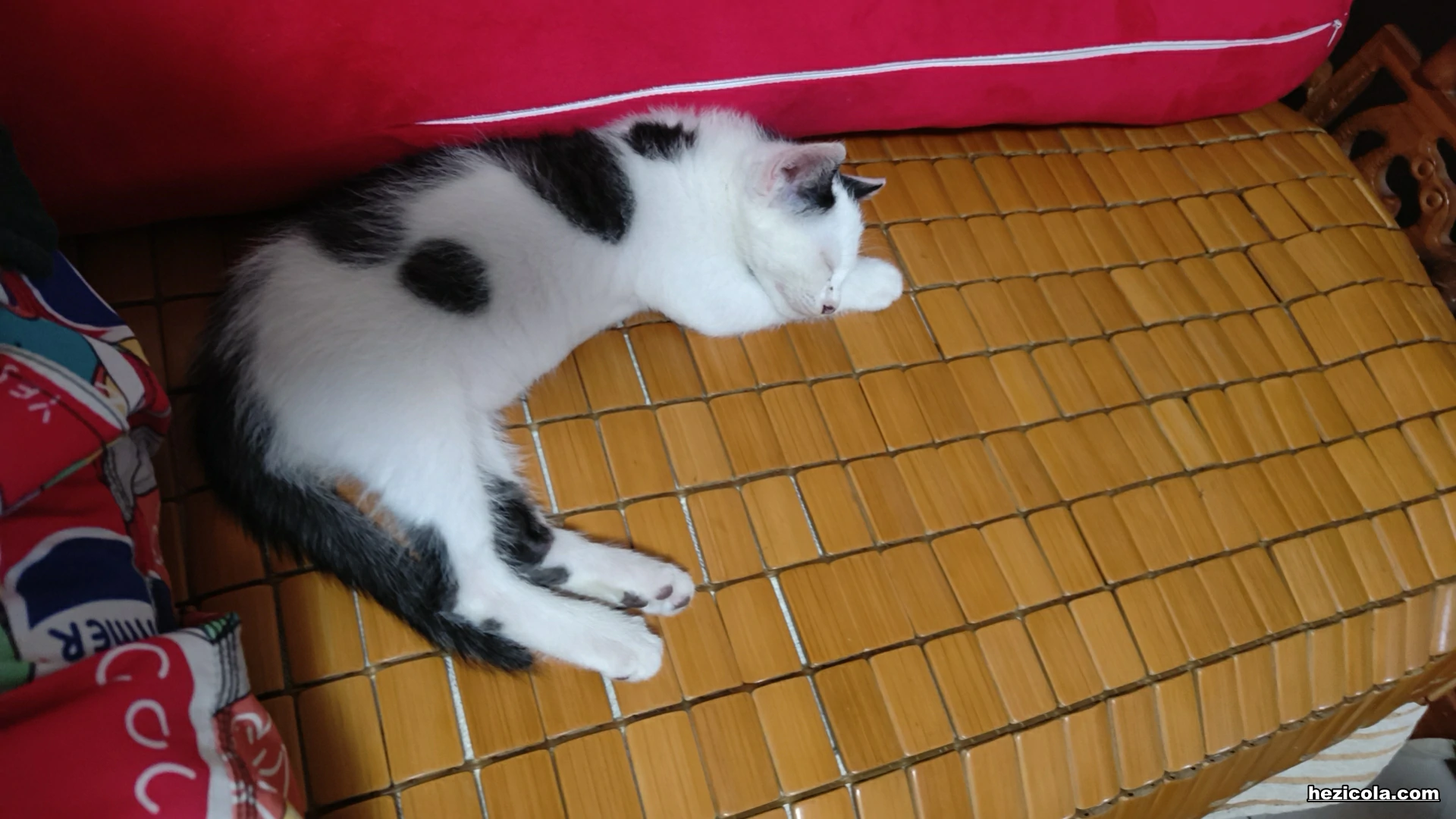 wx_camera_1782032617835